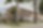 Alterswohnungen, Gais AR - 0975