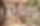 Wespiwiese_Balkon_Visu2